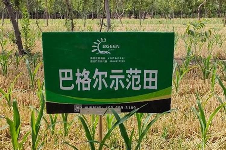 如何区别水溶肥好坏？
