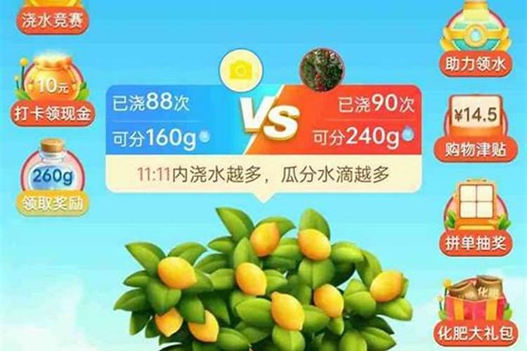 拼多多果园怎么施肥 果树快速成长方法