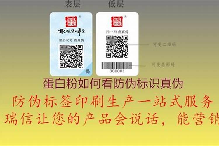 幸福树的养护