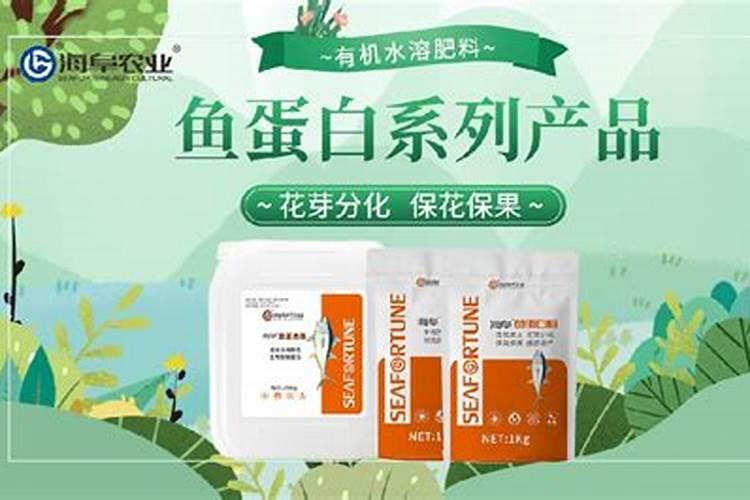 鱼蛋白不能与什么肥料混用,鱼蛋白肥料怎么制作