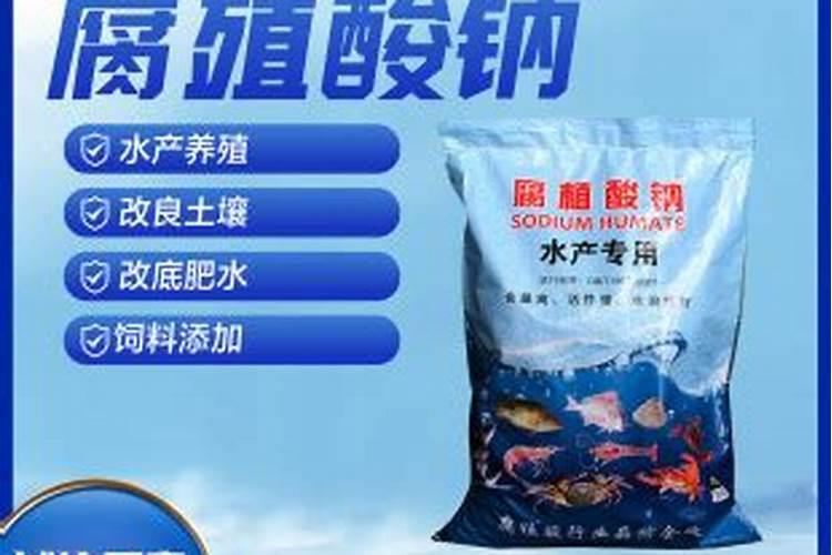 桃树苗怎么防治病害？