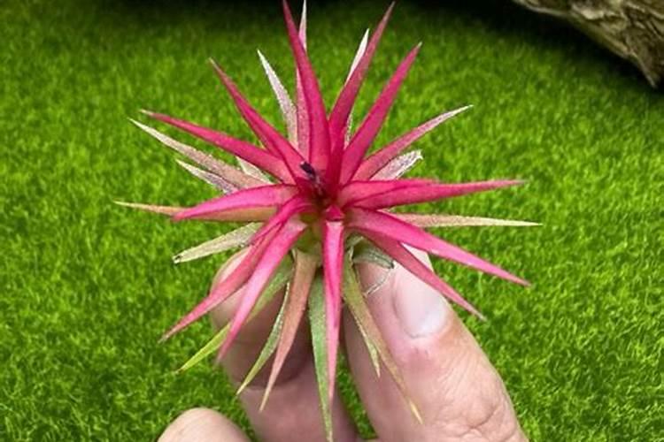 ...积德行善和修习忍辱比如放生、布施可改变不好的命运。潜能成功学专...