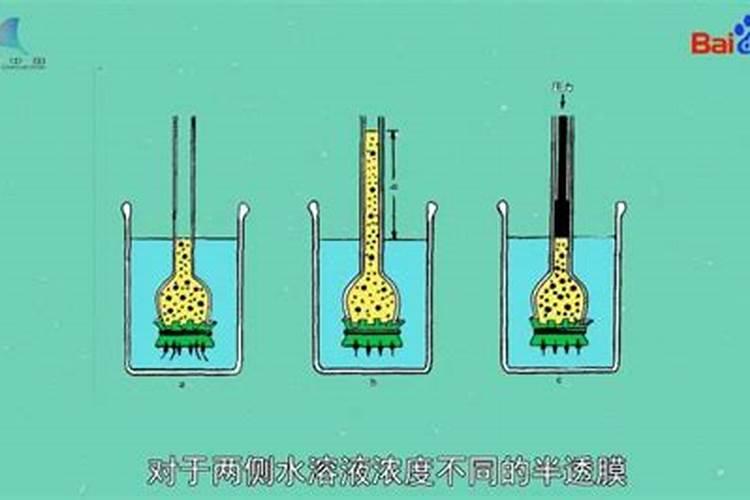 葡萄糖有含钙吗？