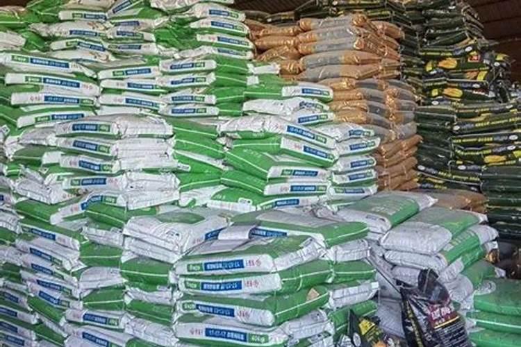 关于描写文化的好句好段有哪些