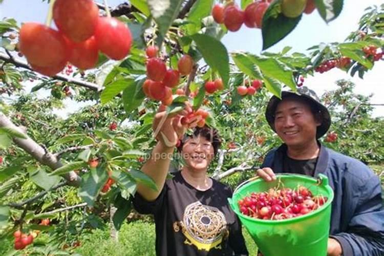 郑州特产有哪些