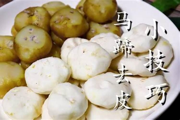 马蹄种植技巧