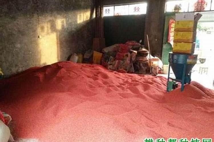 车厘子苗氮、磷、钾,过量使用!后果这么可怕!(下)
