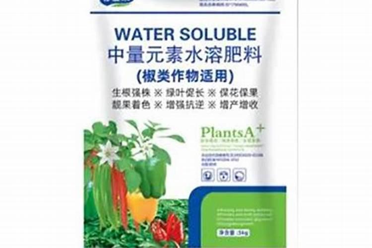 养在阳台上的玉米苗叶子黄了,怎么办？
