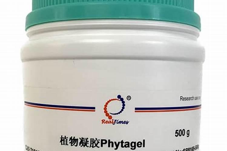 为什么说凝胶对生命活动有着重要意义
