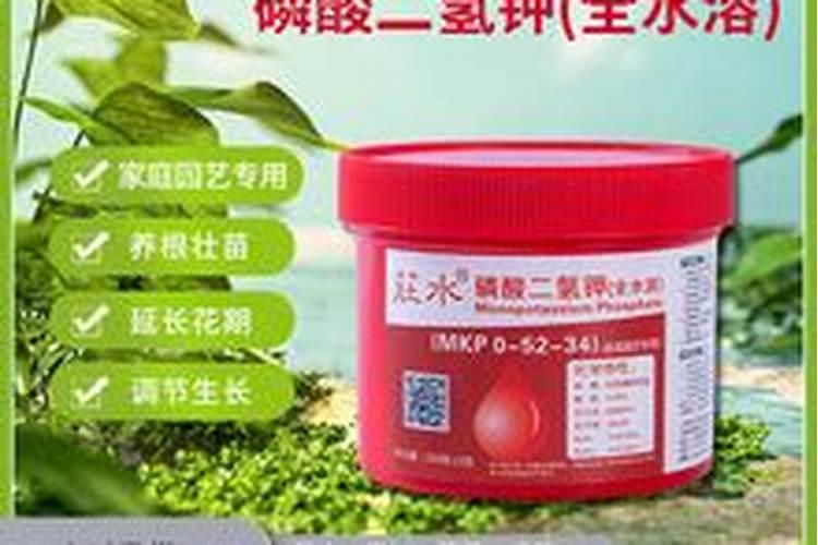 养花钾肥有哪些