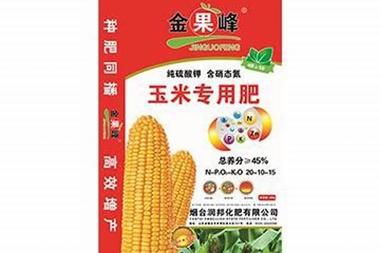 黄瓜做成盆景(盆栽黄瓜用什么自制肥料)
