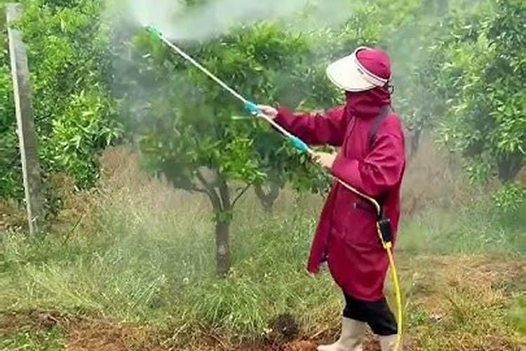 果树钙肥什么时候施用效果好 果树施用钙肥好处