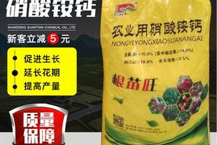 有什么果树一年结果两次？