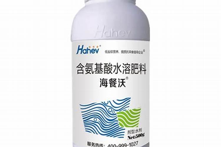 耐晒又耐寒的观叶植物
