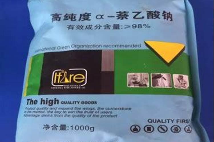 西瓜膨果期用什么肥料