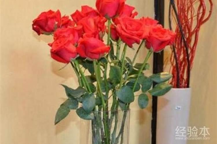 玫瑰花叶子上长出黑色的斑点怎么办