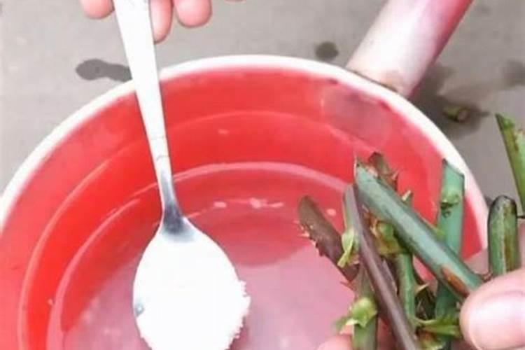 家里用什么可以做花肥花肥怎么施效果好