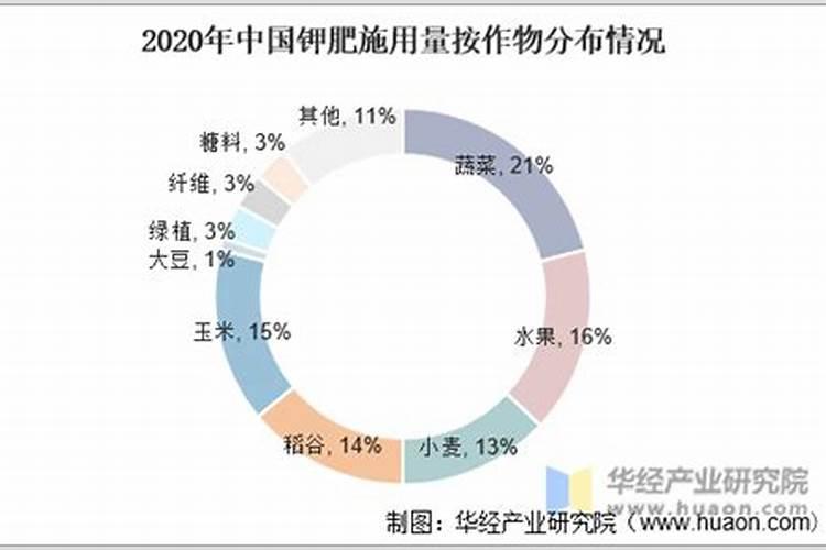 想要让香瓜种的又大又甜,种植的时候要注意什么？