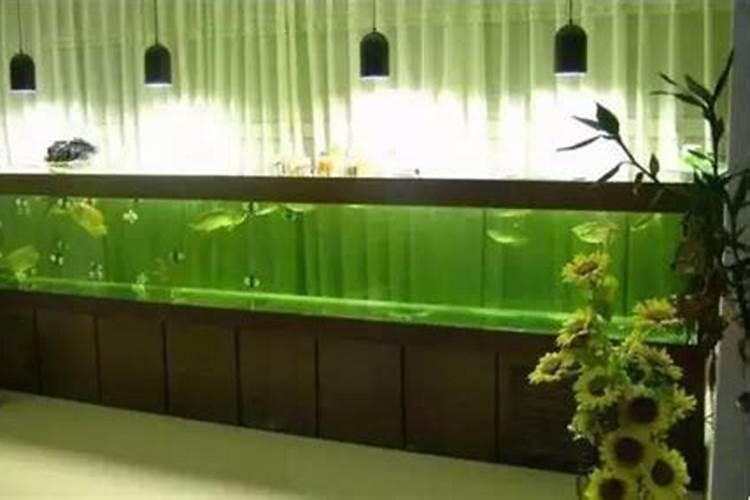 葡萄树冬季要施肥吗 葡萄树冬季能不能进行施肥的呢