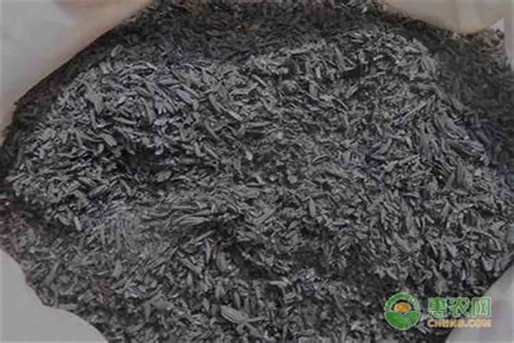 给月季和栀子花咋样施磷酸二氢钾肥