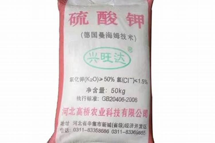 食用盐的股票有哪些？