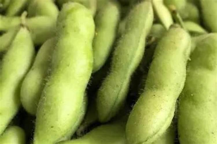 种毛豆到底要不要施肥 施什么肥好