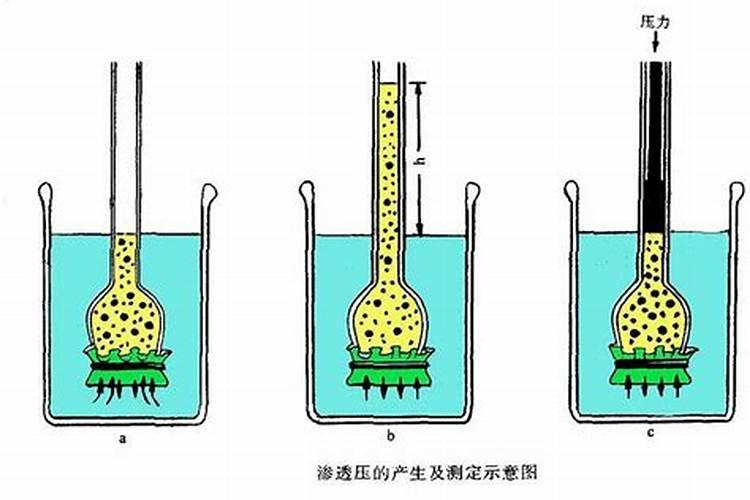 肥料的种类有哪三种选用