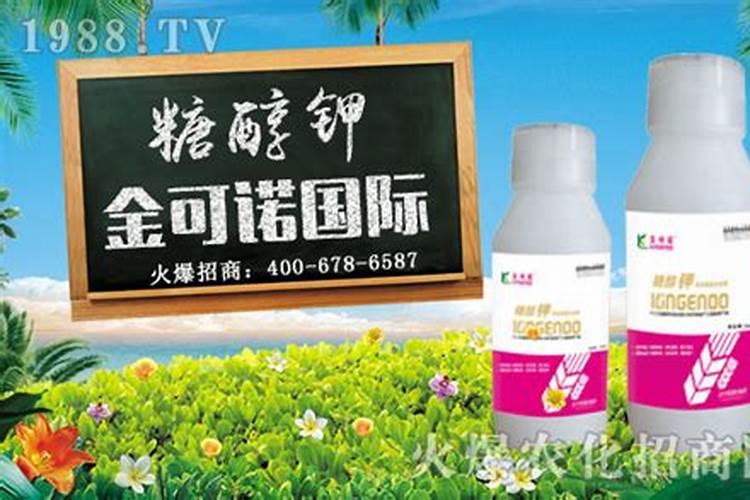 硝酸铵磷与硝酸铵钙的区别