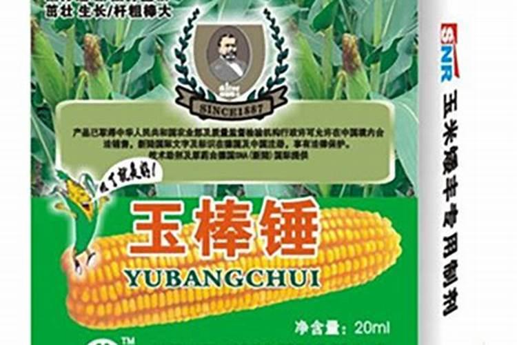 哈密瓜裂瓜影响品质,我们应该怎么解决？