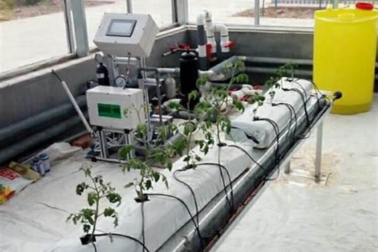 无土栽培的基本条件是什么？