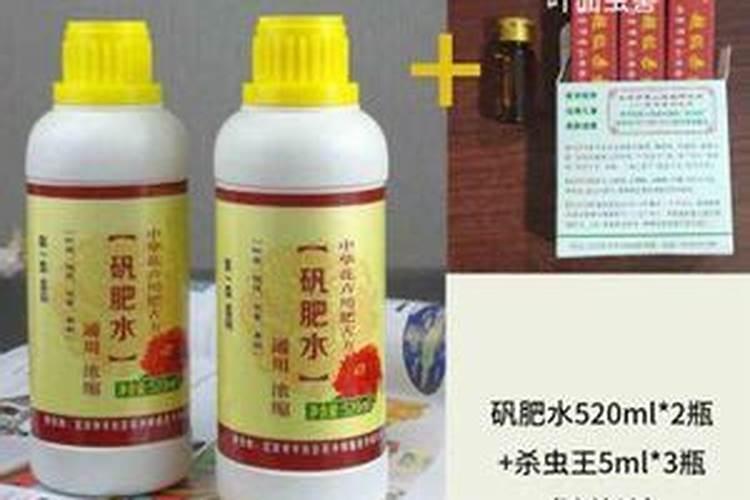 散尾竹用什么肥料