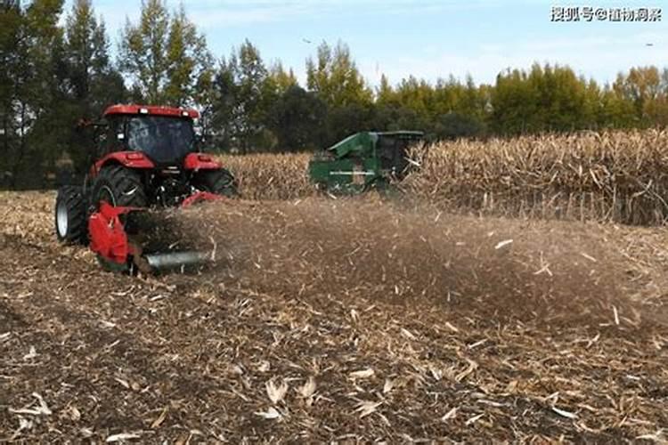 节杆还田的地钾含量