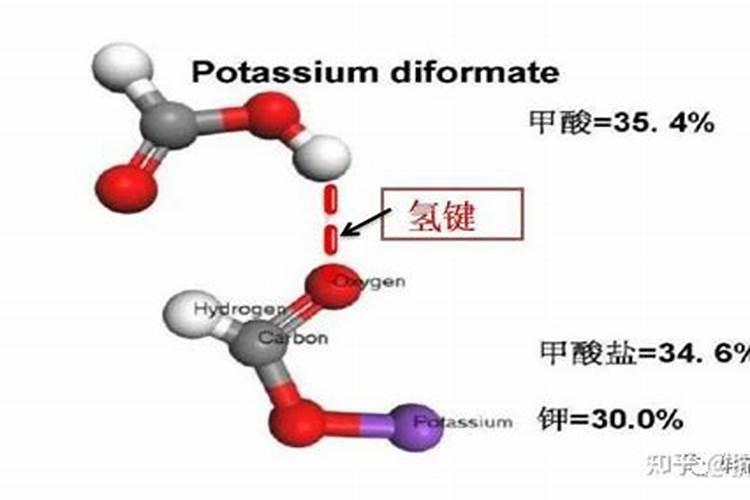 甲酸与乙醇反应及反应类型