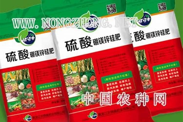 黄豆施什么肥比较好