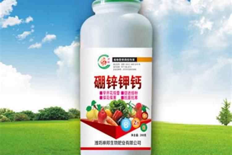 草莓的花怎么了,为什么。