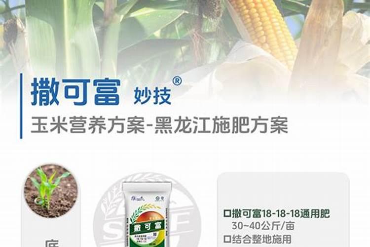 玉米什么时候喷施叶面肥 玉米施肥技巧