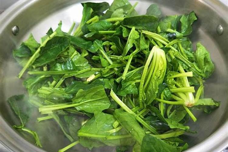 什么肥料有助于菠菜快速生长