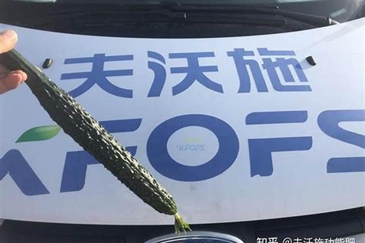 植物叶子用什么肥料能变大变厚？