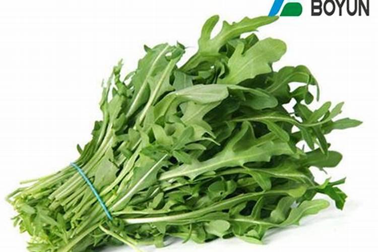 红四方玉米专用复合肥多少钱一吨？
