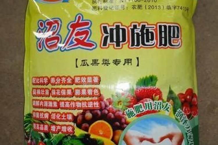 水养吊兰用什么肥,水养吊兰放什么药