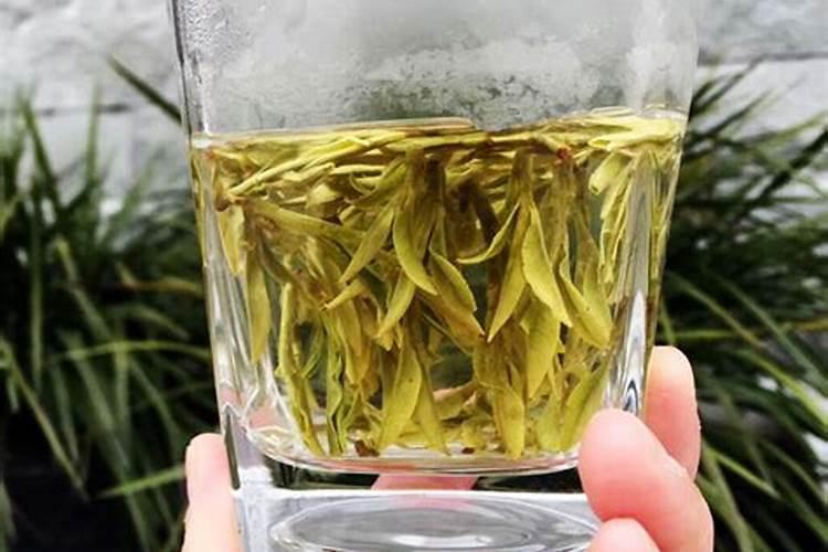 请问这是龙井茶毫还是发霉了啊？
