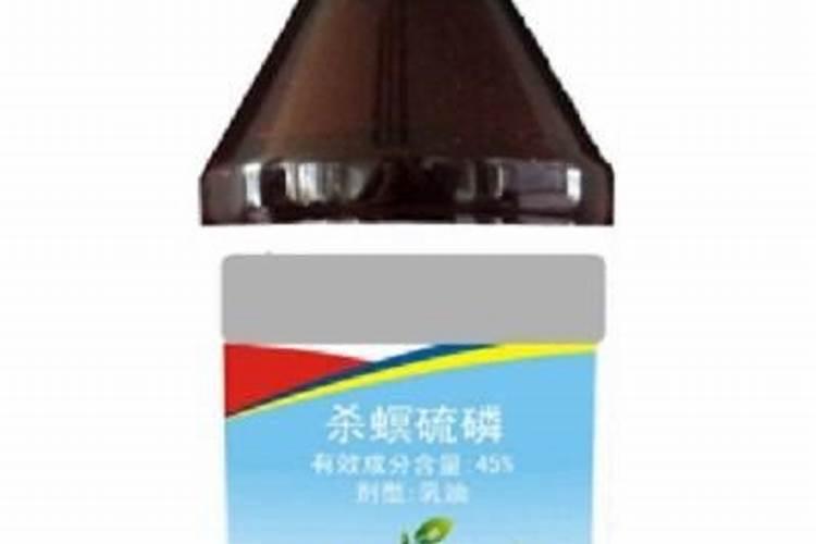花大姐虫用什么药消灭
