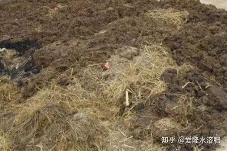 炔螨特对蚜虫有效么