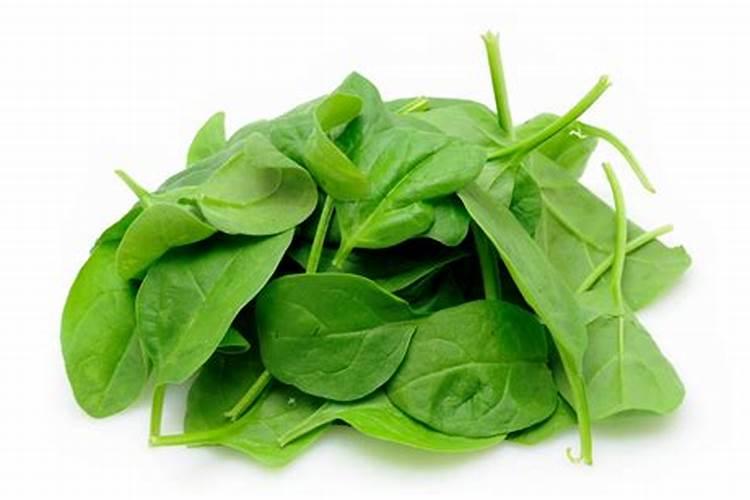 菠菜喜欢什么肥料 菠菜最喜欢什么肥料
