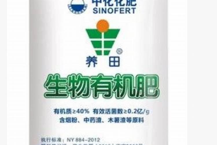 君子兰如何追肥干净卫生又省事