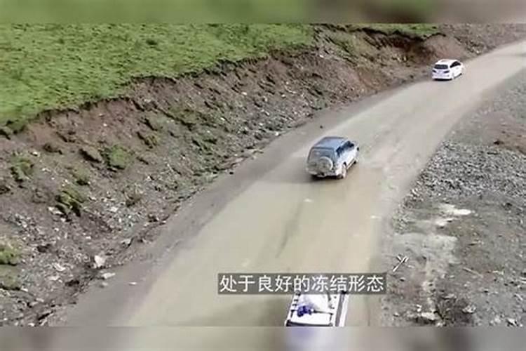 辽核一号核桃,和辽核四号核桃,哪个适合在河北种植？