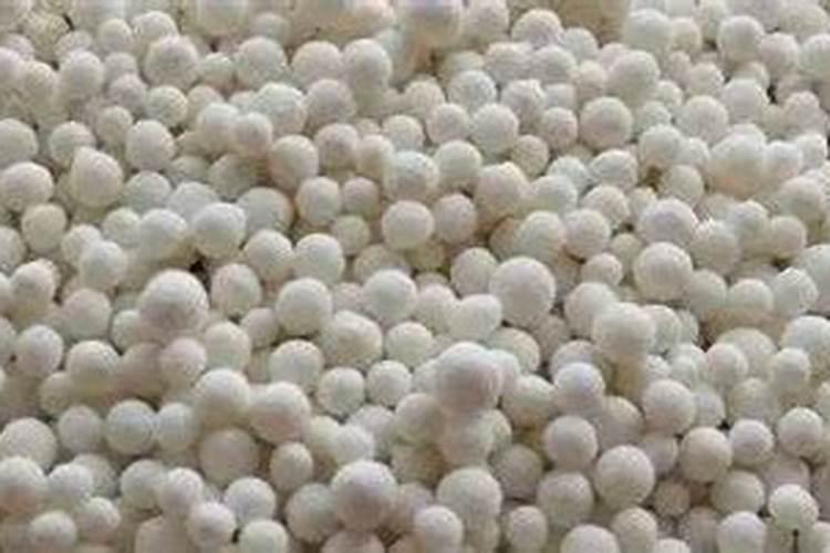 豆角追肥用什么肥料好