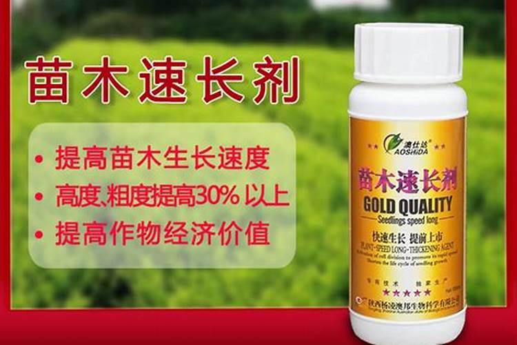 糖庶用什么肥料比较粗大？
