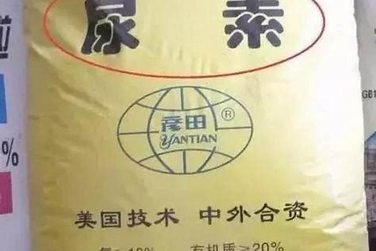 水稻种植尿素怎么使用 水稻种植尿素正确使用方法