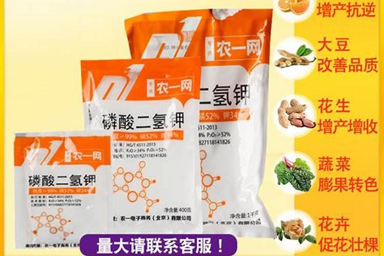 复合肥烧根后还能正常生长吗
